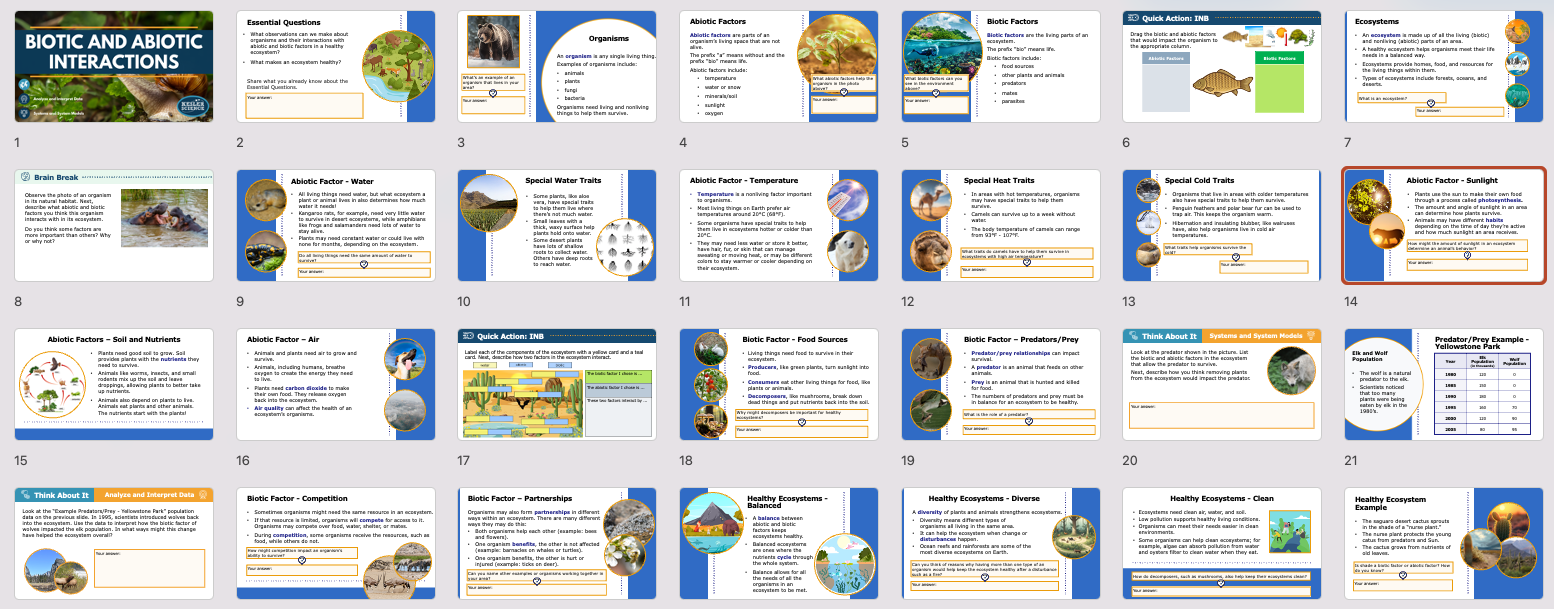 overview of the biotic and abiotic interactions lesson with ecosystem factors and examples