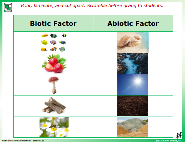 biotic vs abiotic factor sorting cards with fish, strawberries, mushrooms, sand, and water