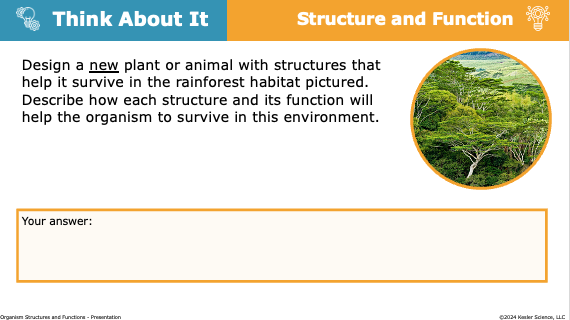 Think About It prompt: design a new plant or animal with structures to survive in a rainforest
