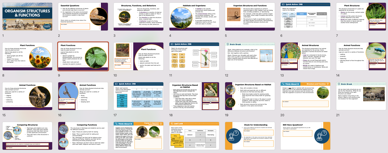 overview of organism structures and functions lesson slides covering plant and animal adaptations