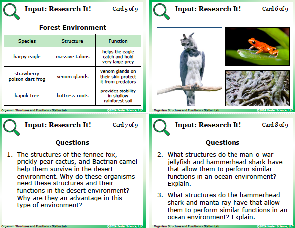 Input station card from the organism structures and functions Station Lab