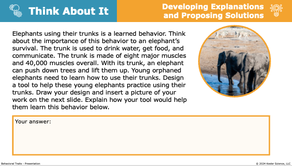 Think About It prompt to design a tool helping young elephants learn the trunk behavioral trait