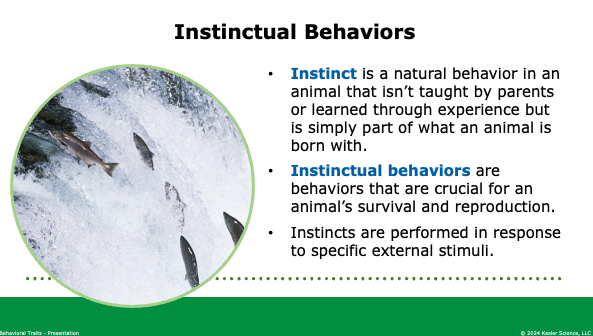 instinctual behaviors defined as inborn animal actions essential for survival and reproduction