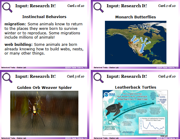 Input station card from the behavioral traits Station Lab