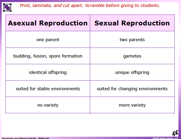 Output station card from the reproduction and offspring diversity Station Lab