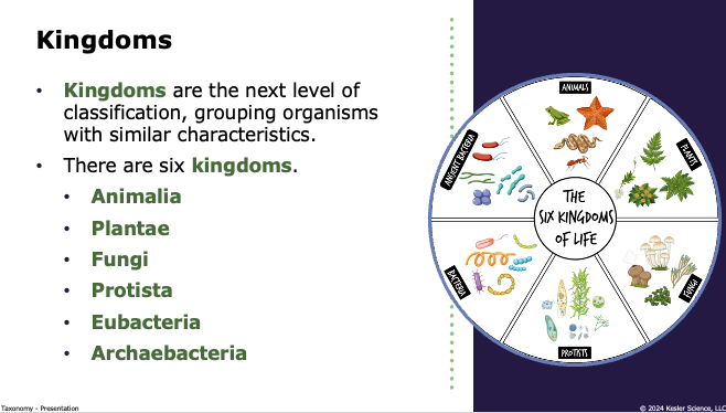 the six kingdoms of life: Animalia, Plantae, Fungi, Protista, Eubacteria, Archaebacteria