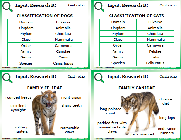Input station card from the taxonomy Station Lab
