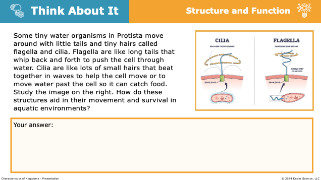 Think About It prompt comparing cilia and flagella in Protista for movement in aquatic environments