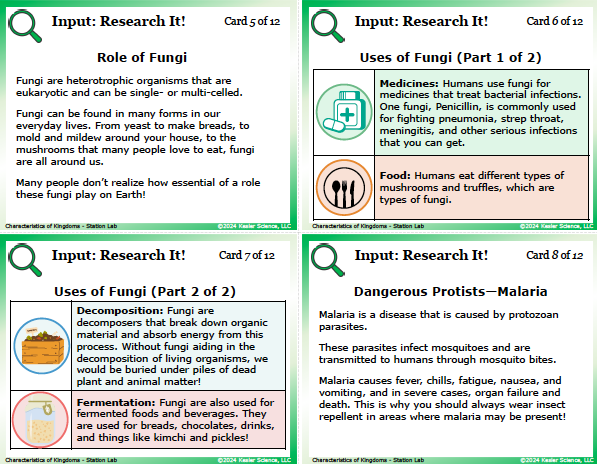 Input station card from the characteristics of kingdoms Station Lab