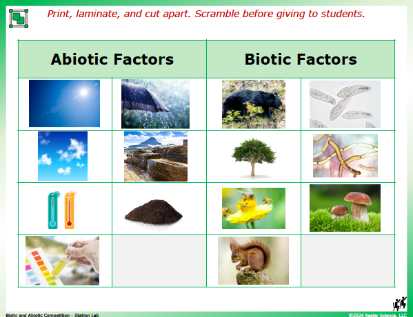 Output station card from the biotic and abiotic competition Station Lab