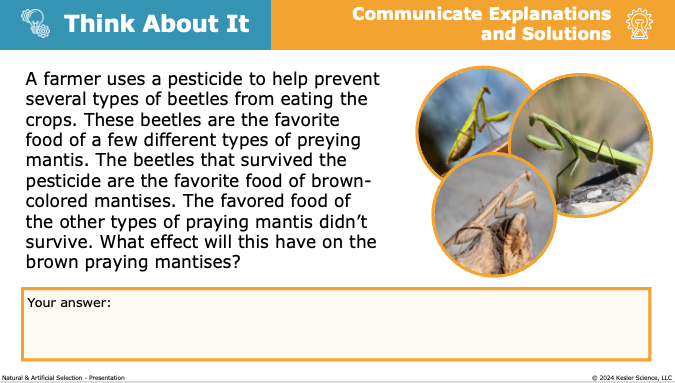 think about it activity predicting how pesticide use affects natural selection of brown praying mantises