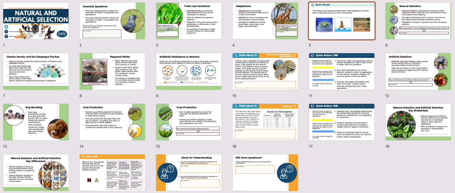 natural and artificial selection lesson presentation overview with title slide and content slides