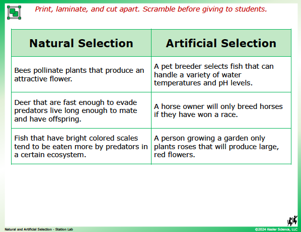 Output station card from the natural and artificial selection Station Lab