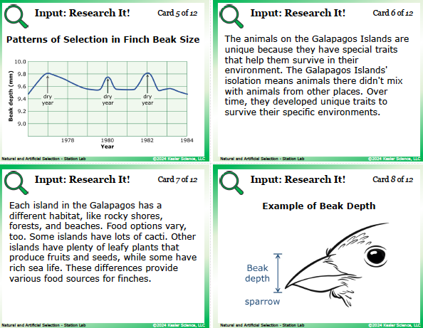Input station card from the natural and artificial selection Station Lab