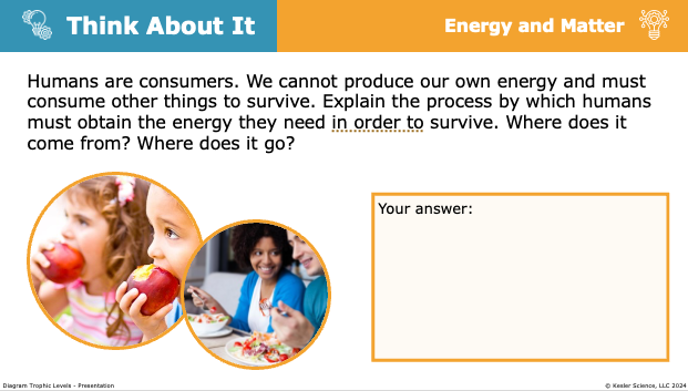 think about it prompt tracing how human consumers obtain and use energy to survive