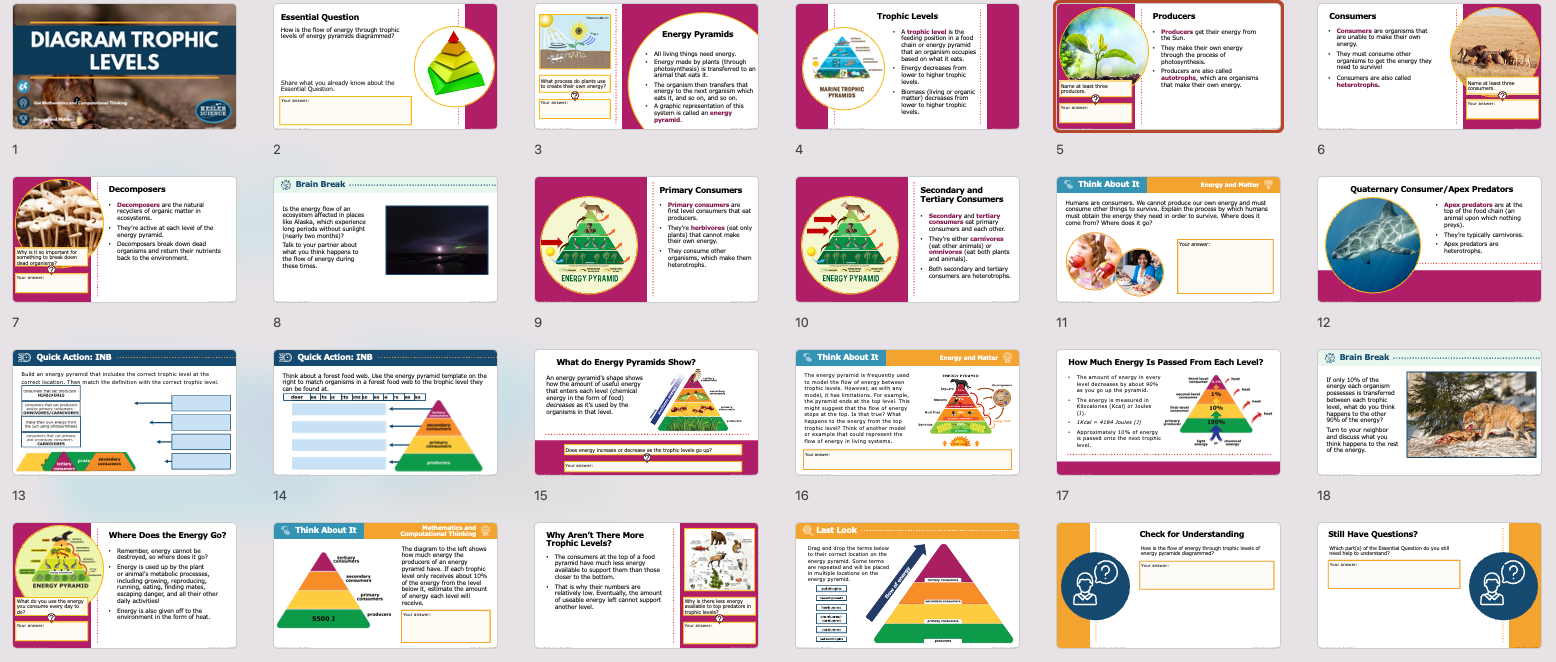 presentation overview slides for the diagram trophic levels lesson