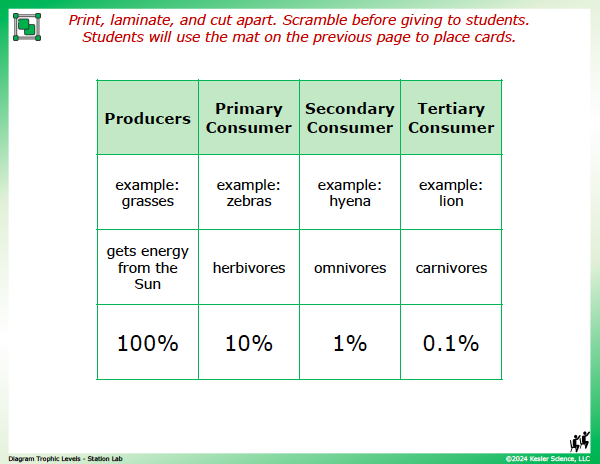 Output station card from the diagram trophic levels Station Lab