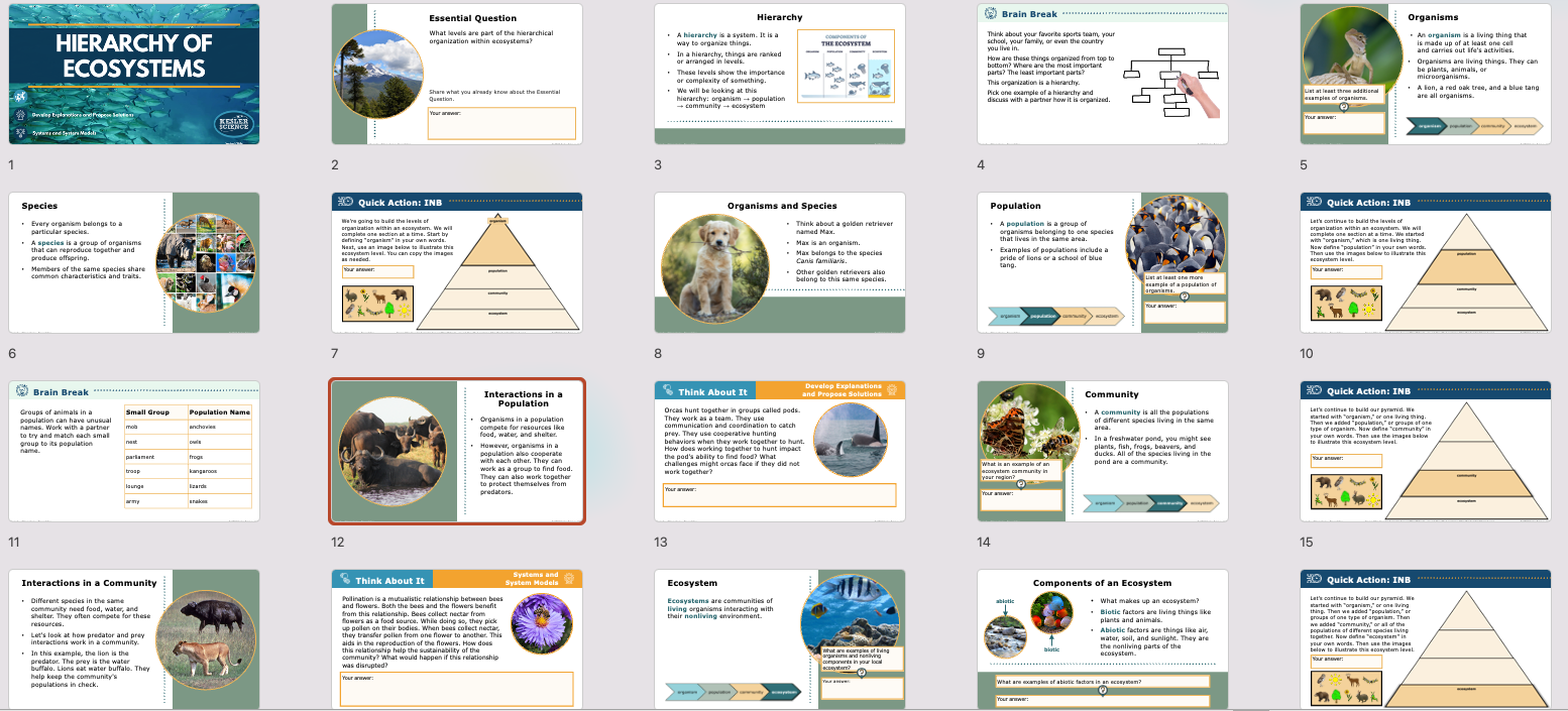 overview of hierarchy of organisms lesson slides covering populations, communities, and ecosystems