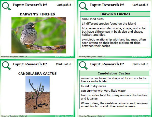 Input station card from the hierarchy of organisms Station Lab