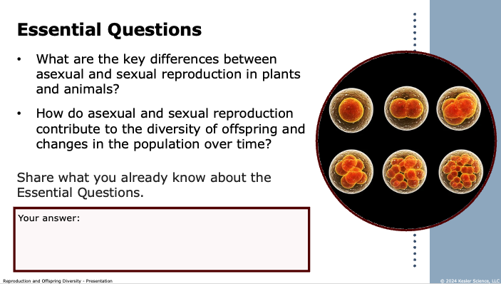 essential questions: differences between asexual and sexual reproduction and their role in diversity