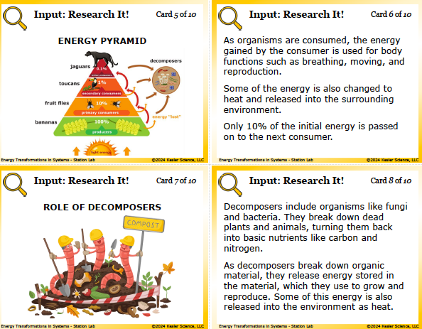 Input station card from the energy transformations in systems Station Lab