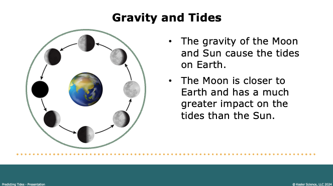 gravity and tides: how the Moon and Sun cause tides on Earth with the Moon having greater impact