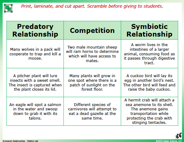 Output station card from the ecological relationships Station Lab