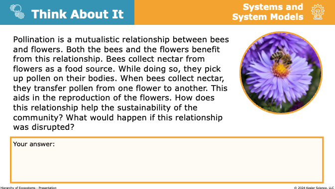 Think About It: mutualistic pollination relationship between bees and flowers