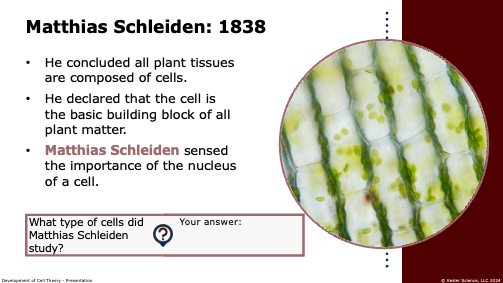 Output station card from the development of cell theory Station Lab