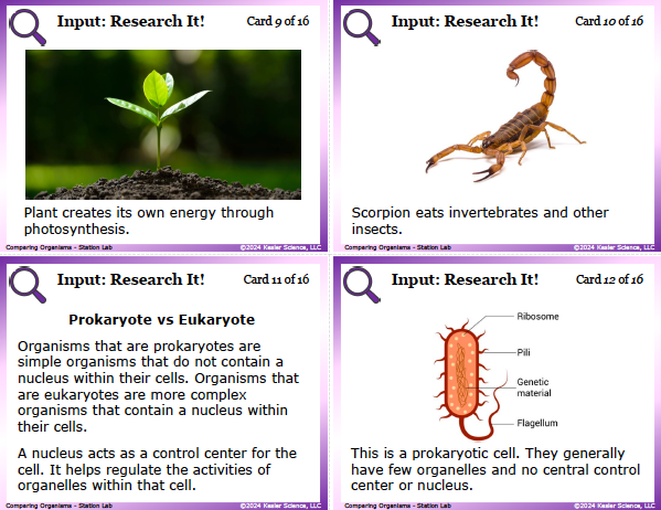 Input station card from the comparing organisms Station Lab