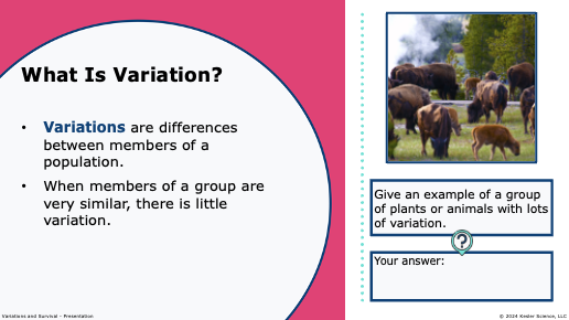 definition of variation as differences between members of a population