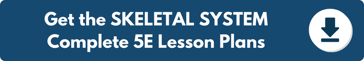 A banner which reads "Get the SKELETAL SYSTEM Complete 5E Lesson Plans". 