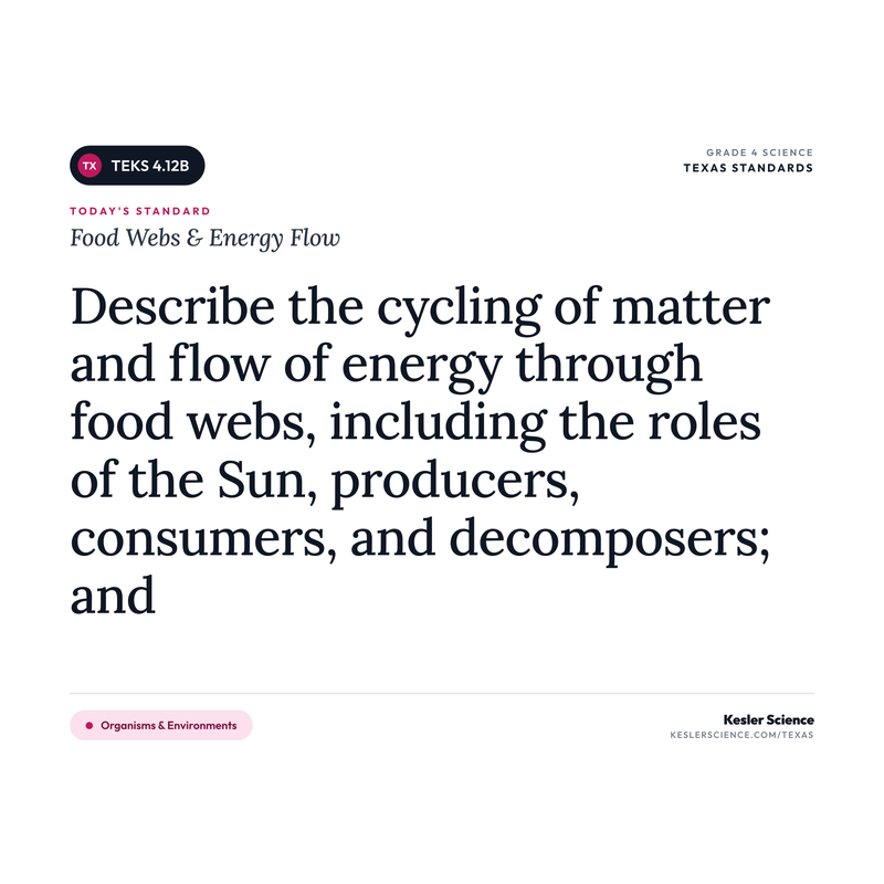 Food Webs & Energy Flow — I Can Poster Pack cover