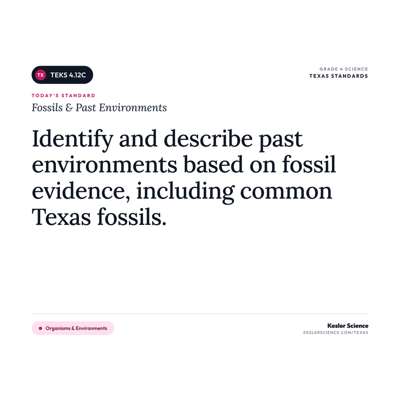 Fossils & Past Environments — I Can Poster Pack cover