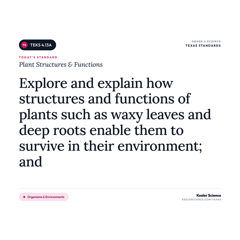 Plant Structures & Functions — I Can Poster Pack cover
