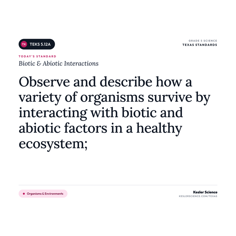 Biotic & Abiotic Interactions — I Can Poster Pack cover