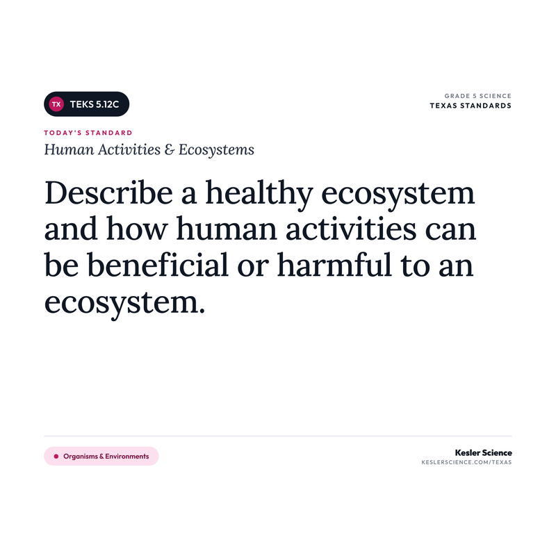 Human Activities & Ecosystems — I Can Poster Pack cover