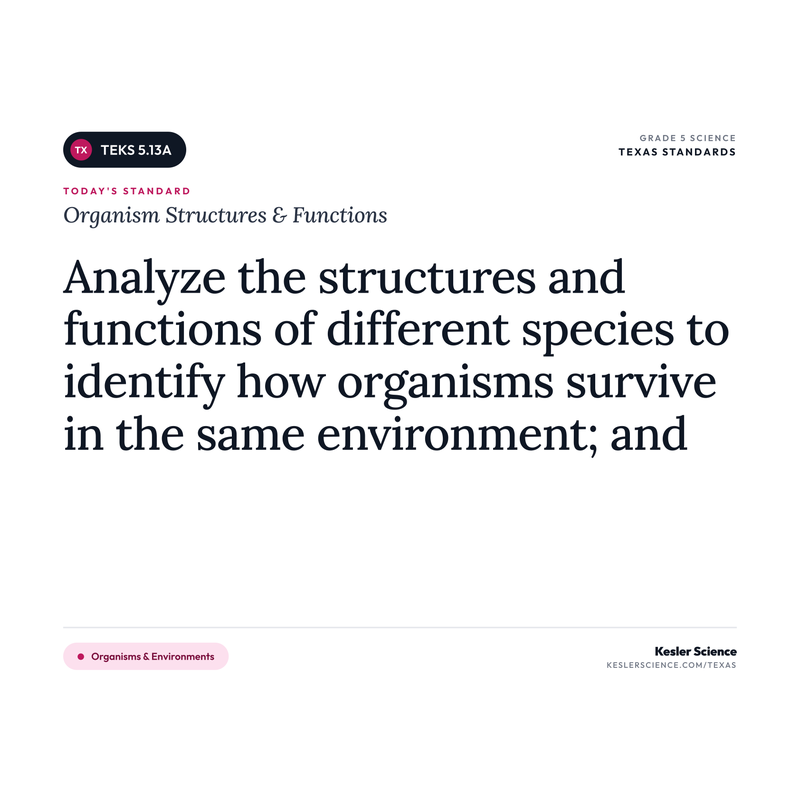 Organism Structures & Functions — I Can Poster Pack cover
