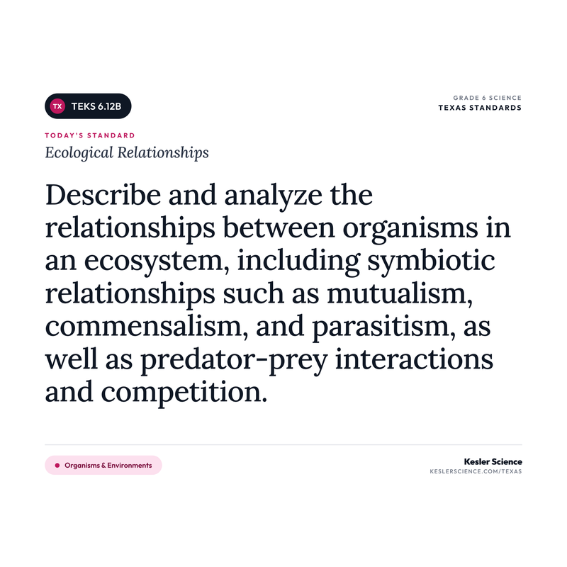 Ecological Relationships — I Can Poster Pack cover