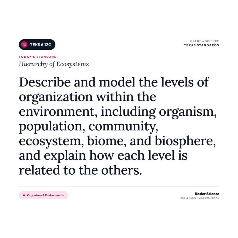 Hierarchy of Ecosystems — I Can Poster Pack cover