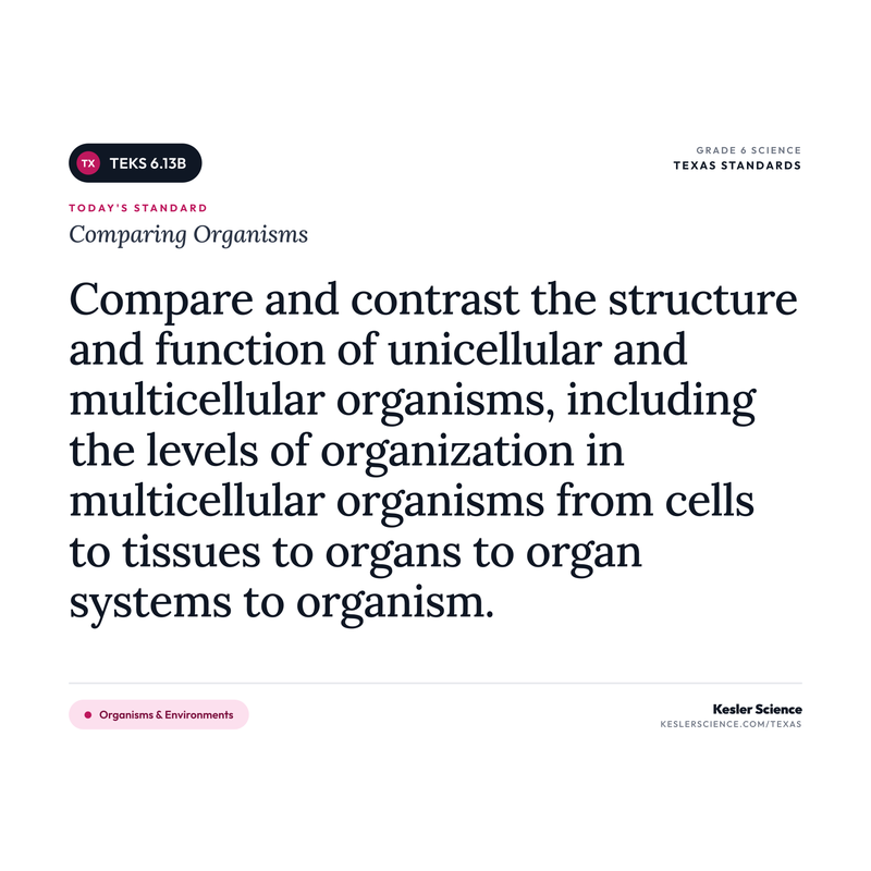 Comparing Organisms — I Can Poster Pack cover
