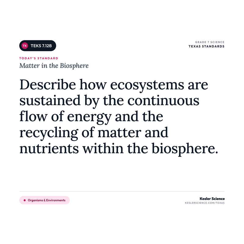 Matter in the Biosphere — I Can Poster Pack cover