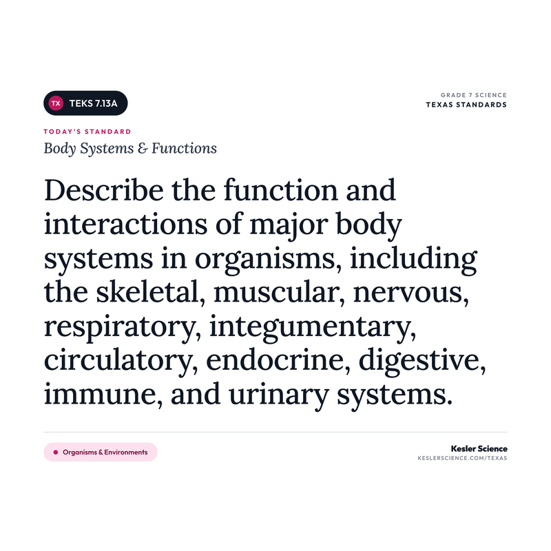 Body Systems & Functions — I Can Poster Pack cover