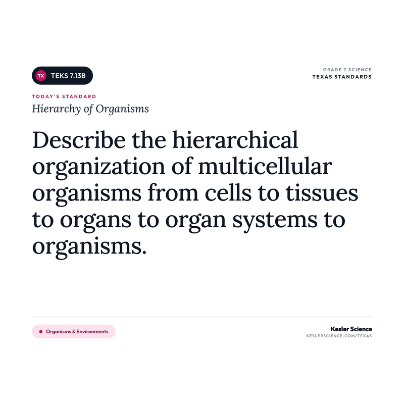 Hierarchy of Organisms — I Can Poster Pack cover