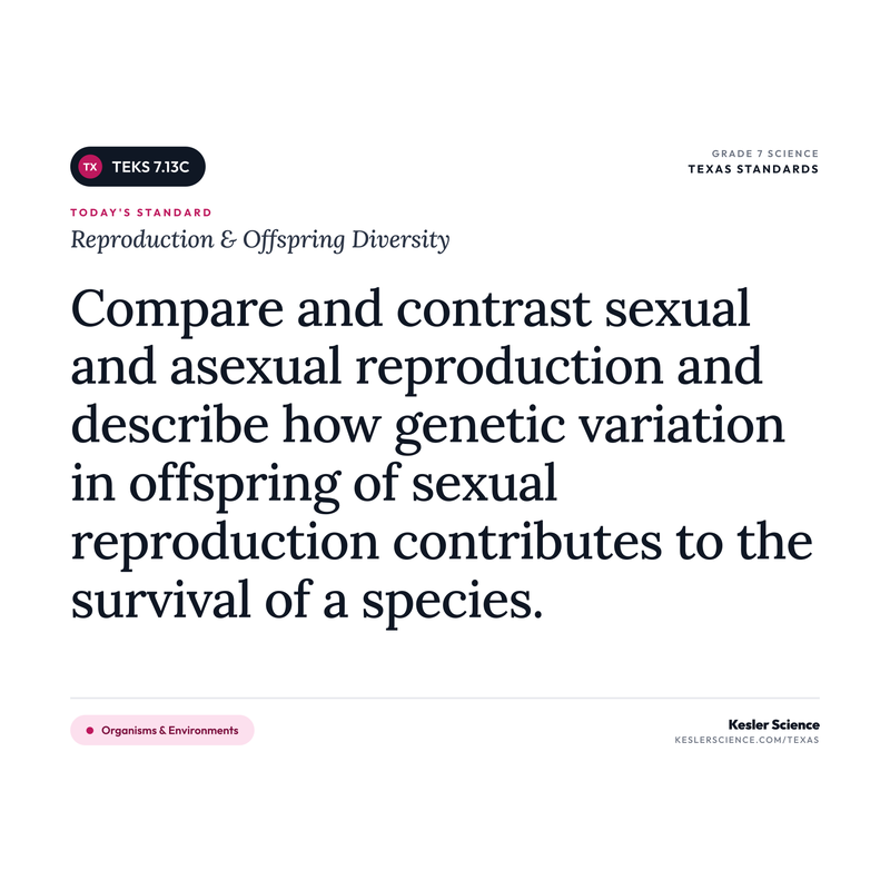 Reproduction & Offspring Diversity — I Can Poster Pack cover