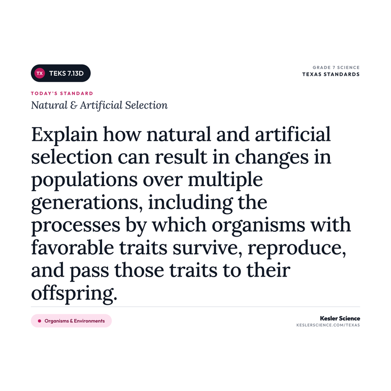 Natural & Artificial Selection — I Can Poster Pack cover