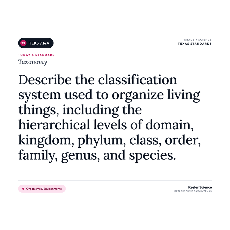 Taxonomy — I Can Poster Pack cover