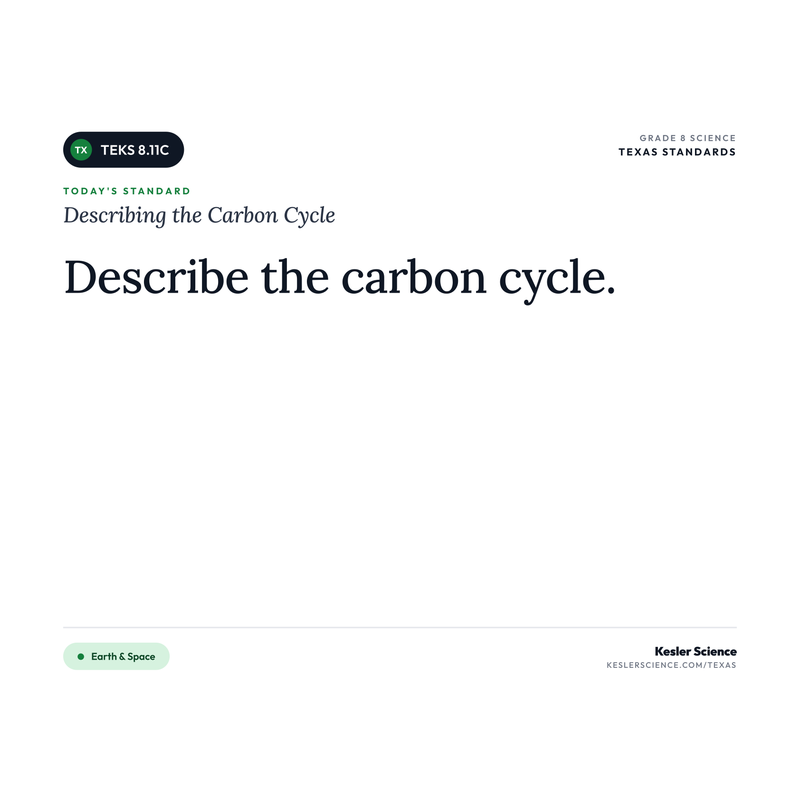 Describing the Carbon Cycle — I Can Poster Pack cover