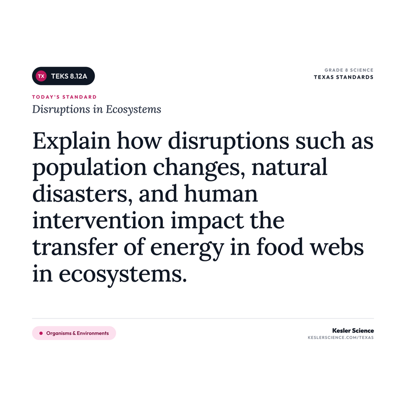 Disruptions in Ecosystems — I Can Poster Pack cover