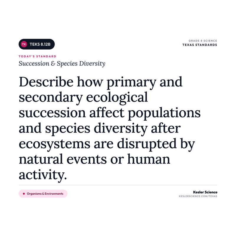 Succession & Species Diversity — I Can Poster Pack cover